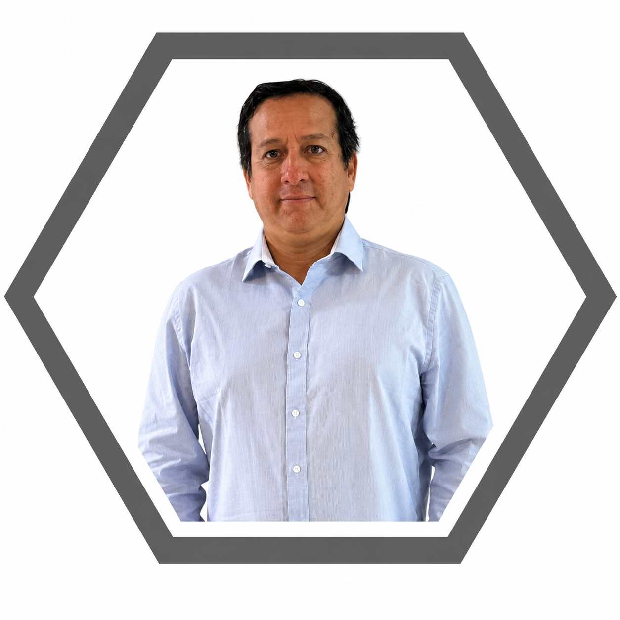 Germán Llerena